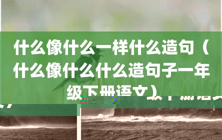 什么像什么一样什么造句（什么像什么什么造句子一年级下册语文）