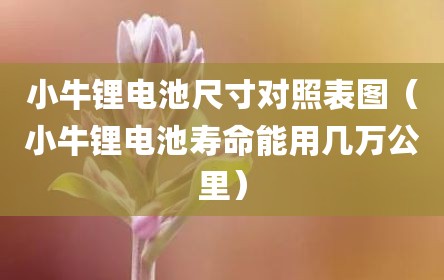 小牛锂电池尺寸对照表图（小牛锂电池寿命能用几万公里）