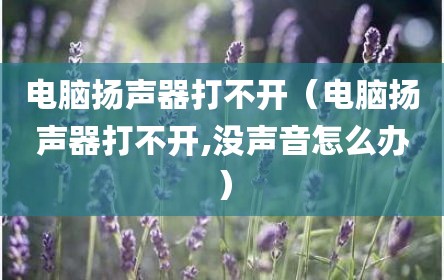 电脑扬声器打不开（电脑扬声器打不开,没声音怎么办）
