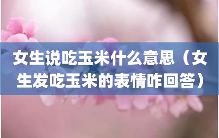 女生说吃玉米什么意思（女生发吃玉米的表情咋回答）