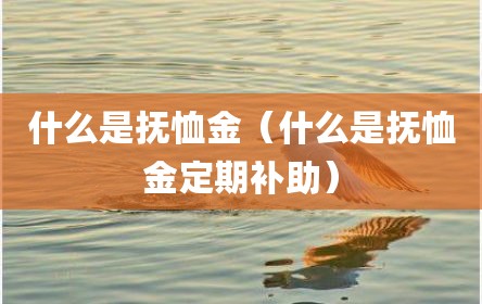 什么是抚恤金（什么是抚恤金定期补助）
