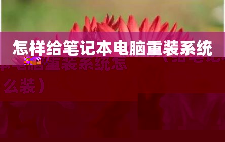 怎样给笔记本电脑重装系统（给笔记本电脑重装系统怎么装）