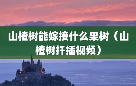 山楂树能嫁接什么果树（山楂树扦插视频）