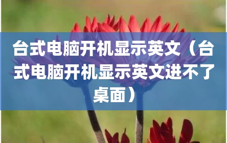 台式电脑开机显示英文（台式电脑开机显示英文进不了桌面）