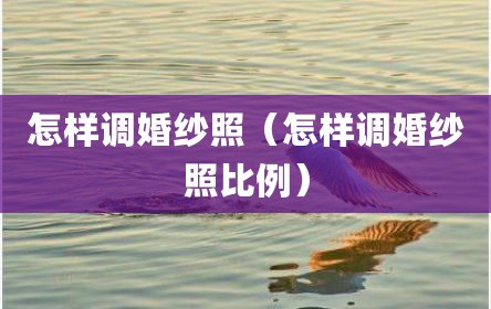 怎样调婚纱照（怎样调婚纱照比例）