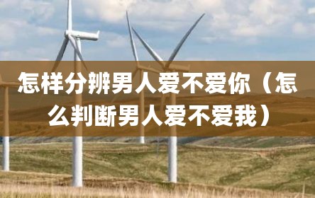 怎样分辨男人爱不爱你（怎么判断男人爱不爱我）