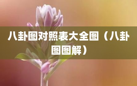 八卦图对照表大全图（八卦图图解）