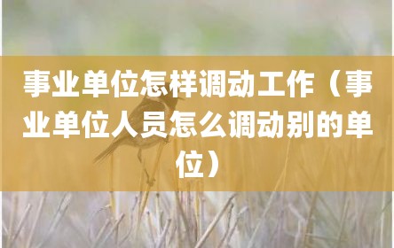 事业单位怎样调动工作（事业单位人员怎么调动别的单位）