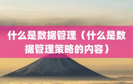 什么是数据管理（什么是数据管理策略的内容）