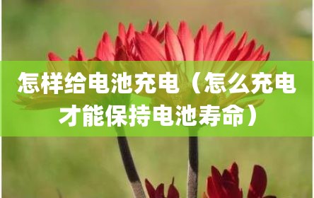 怎样给电池充电（怎么充电才能保持电池寿命）