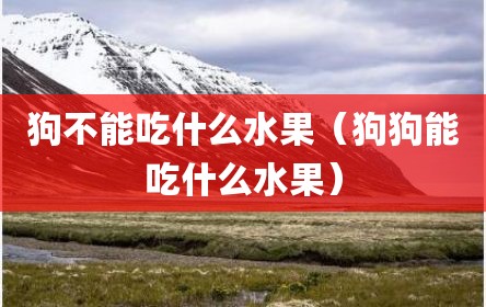 狗不能吃什么水果（狗狗能吃什么水果）