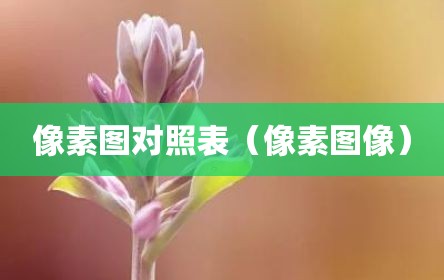 像素图对照表（像素图像）