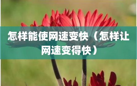怎样能使网速变快（怎样让网速变得快）