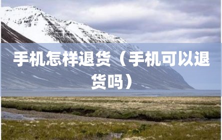 手机怎样退货（手机可以退货吗）