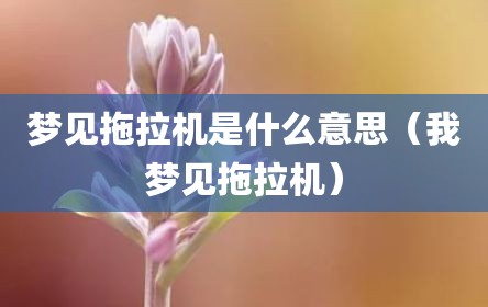 梦见拖拉机是什么意思（我梦见拖拉机）
