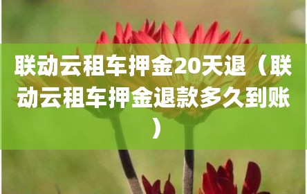 联动云租车押金20天退（联动云租车押金退款多久到账）
