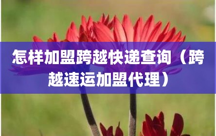 怎样加盟跨越快递查询（跨越速运加盟代理）