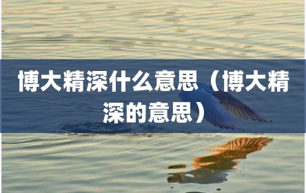 博大精深什么意思（博大精深的意思）