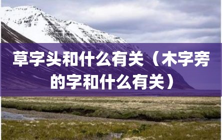 草字头和什么有关（木字旁的字和什么有关）