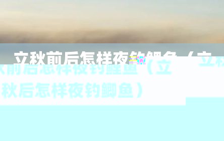 立秋前后怎样夜钓鲤鱼（立秋后怎样夜钓鲫鱼）