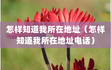 怎样知道我所在地址（怎样知道我所在地址电话）