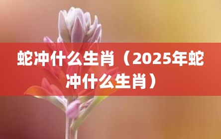 蛇冲什么生肖（2025年蛇冲什么生肖）