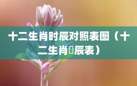 十二生肖时辰对照表图（十二生肖吋辰表）