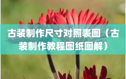 古装制作尺寸对照表图（古装制作教程图纸图解）