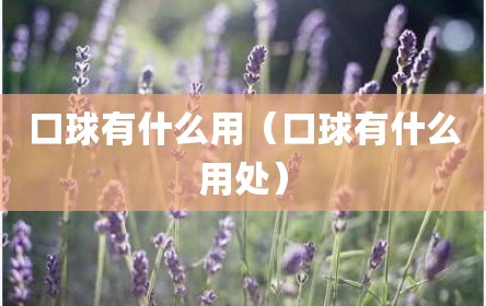 口球有什么用（口球有什么用处）