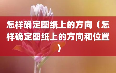 怎样确定图纸上的方向（怎样确定图纸上的方向和位置）