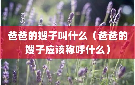 爸爸的嫂子叫什么（爸爸的嫂子应该称呼什么）