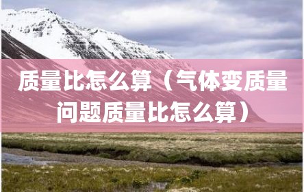 质量比怎么算（气体变质量问题质量比怎么算）