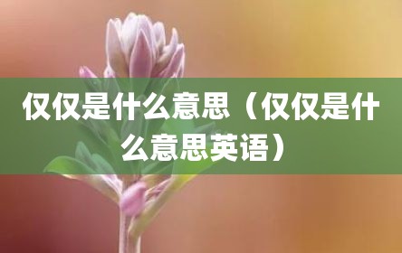 仅仅是什么意思（仅仅是什么意思英语）