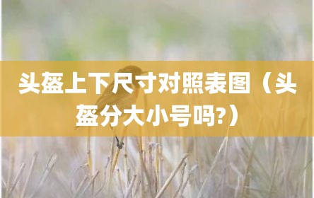 头盔上下尺寸对照表图（头盔分大小号吗?）