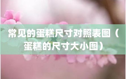 常见的蛋糕尺寸对照表图（蛋糕的尺寸大小图）