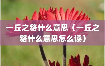 一丘之貉什么意思（一丘之貉什么意思怎么读）