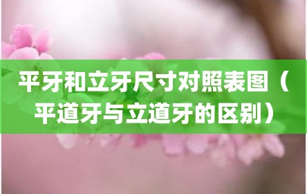 平牙和立牙尺寸对照表图（平道牙与立道牙的区别）
