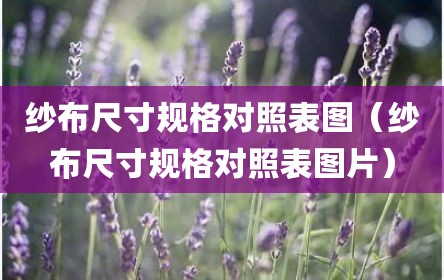 纱布尺寸规格对照表图（纱布尺寸规格对照表图片）