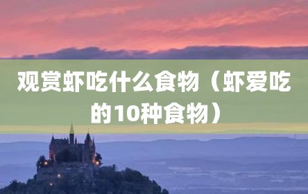 观赏虾吃什么食物（虾爱吃的10种食物）