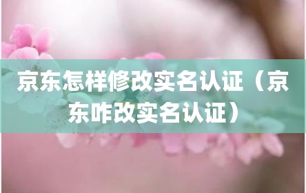 京东怎样修改实名认证（京东咋改实名认证）
