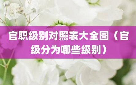 官职级别对照表大全图（官级分为哪些级别）