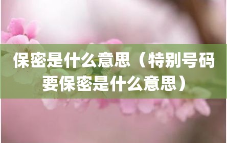 保密是什么意思（特别号码要保密是什么意思）