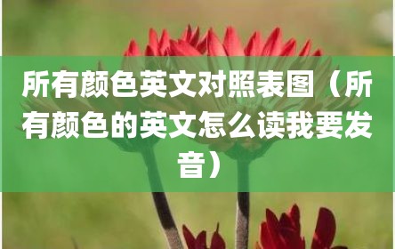 所有颜色英文对照表图（所有颜色的英文怎么读我要发音）