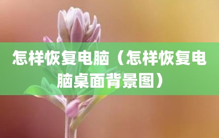 怎样恢复电脑（怎样恢复电脑桌面背景图）
