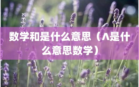 数学和是什么意思（∧是什么意思数学）