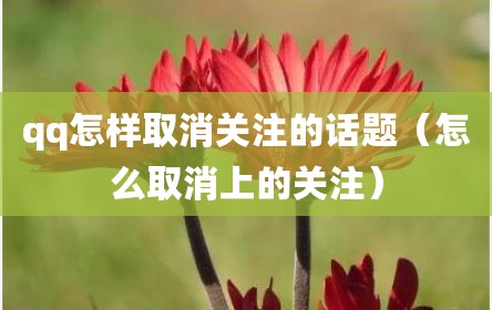 qq怎样取消关注的话题（怎么取消上的关注）