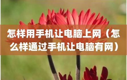 怎样用手机让电脑上网（怎么样通过手机让电脑有网）