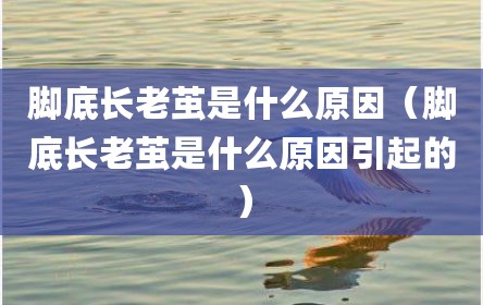 脚底长老茧是什么原因（脚底长老茧是什么原因引起的）