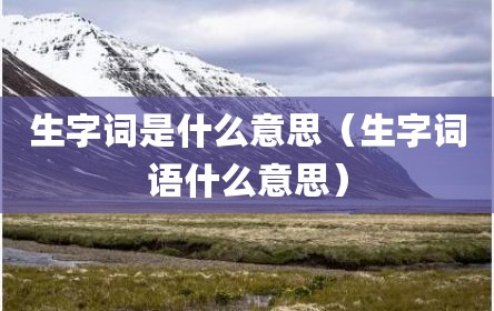 生字词是什么意思（生字词语什么意思）