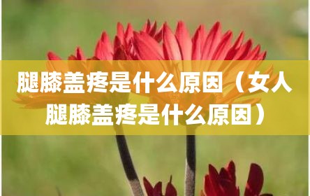 腿膝盖疼是什么原因（女人腿膝盖疼是什么原因）